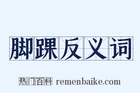 脚踝反义词是什么意思的图片
